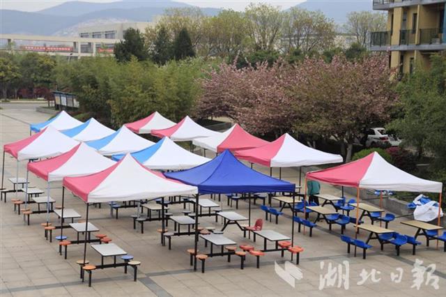 2020大学专科学校分_山东2020年高考分数线公布不再划分本专科线(2)
